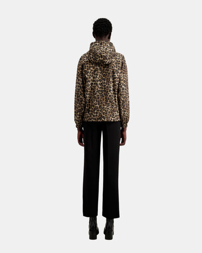 , LEOPARD, hi-res image number null