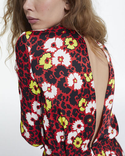 , RED / YELLOW, hi-res image number null