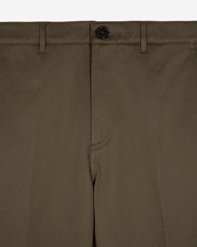 , BROWN, hi-res image number null