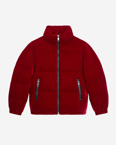 , DARK BURGUNDY, hi-res image number null