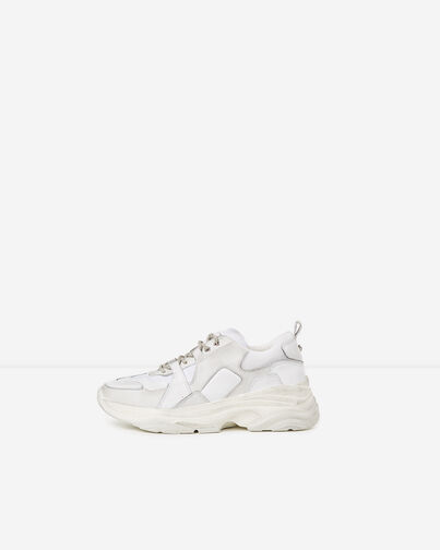 , WHITE, hi-res image number null