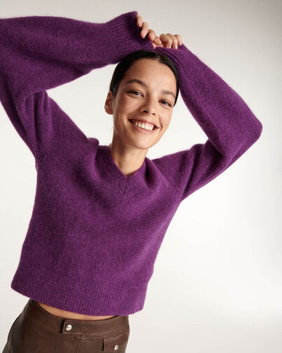 , PURPLE, hi-res image number null