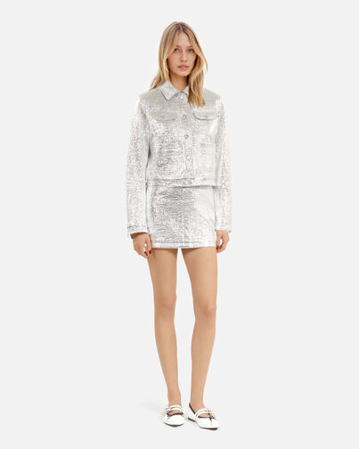 , SILVER, hi-res image number null