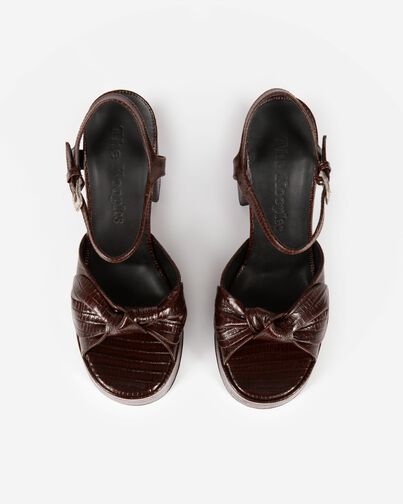 , BROWN, hi-res image number null
