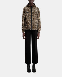 , LEOPARD, hi-res image number null