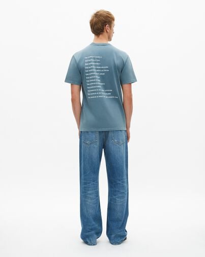 , BLUE GREY, hi-res image number null