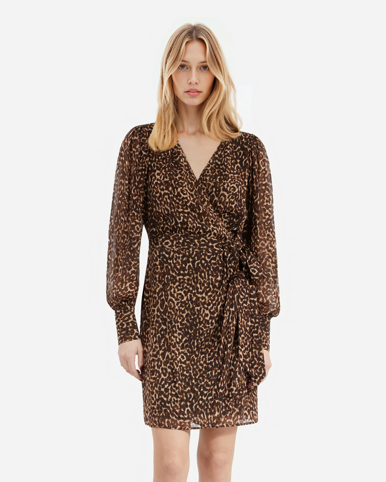 , LEOPARD, hi-res image number null