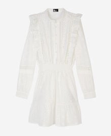 , WHITE, hi-res image number null