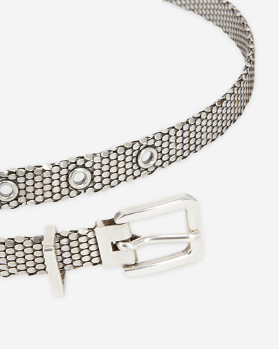 , ANTIC SILVER, hi-res image number null