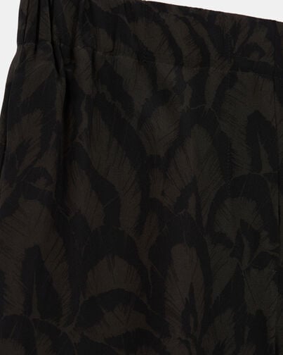 , KAKI BLACK, hi-res image number null
