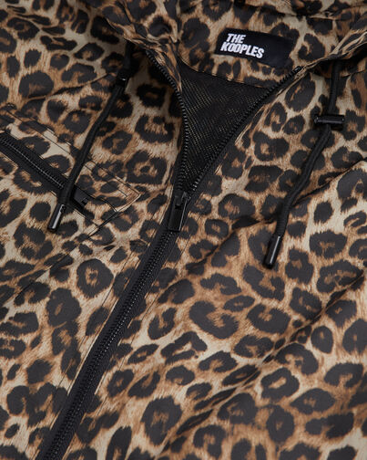 , LEOPARD, hi-res image number null