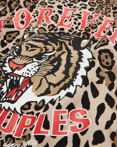 , LEOPARD, hi-res image number null