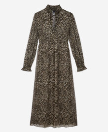 , LEOPARD, hi-res image number null