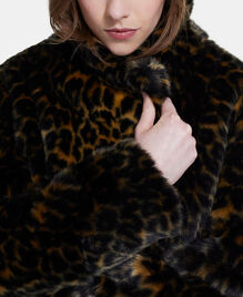 , LEOPARD, hi-res image number null