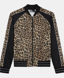 , LEOPARD, hi-res image number null