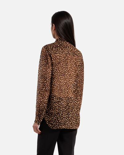 , LEOPARD, hi-res image number null