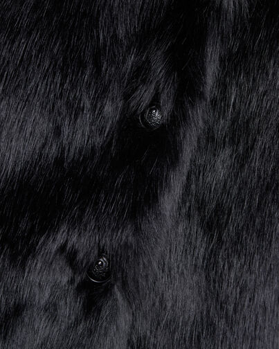 , BLACK, hi-res image number null