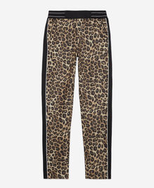 , LEOPARD, hi-res image number null