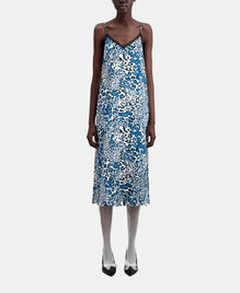 , BLUE WHITE, hi-res image number null