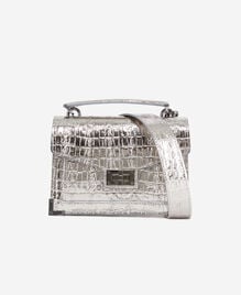 , ANTIC SILVER, hi-res image number null