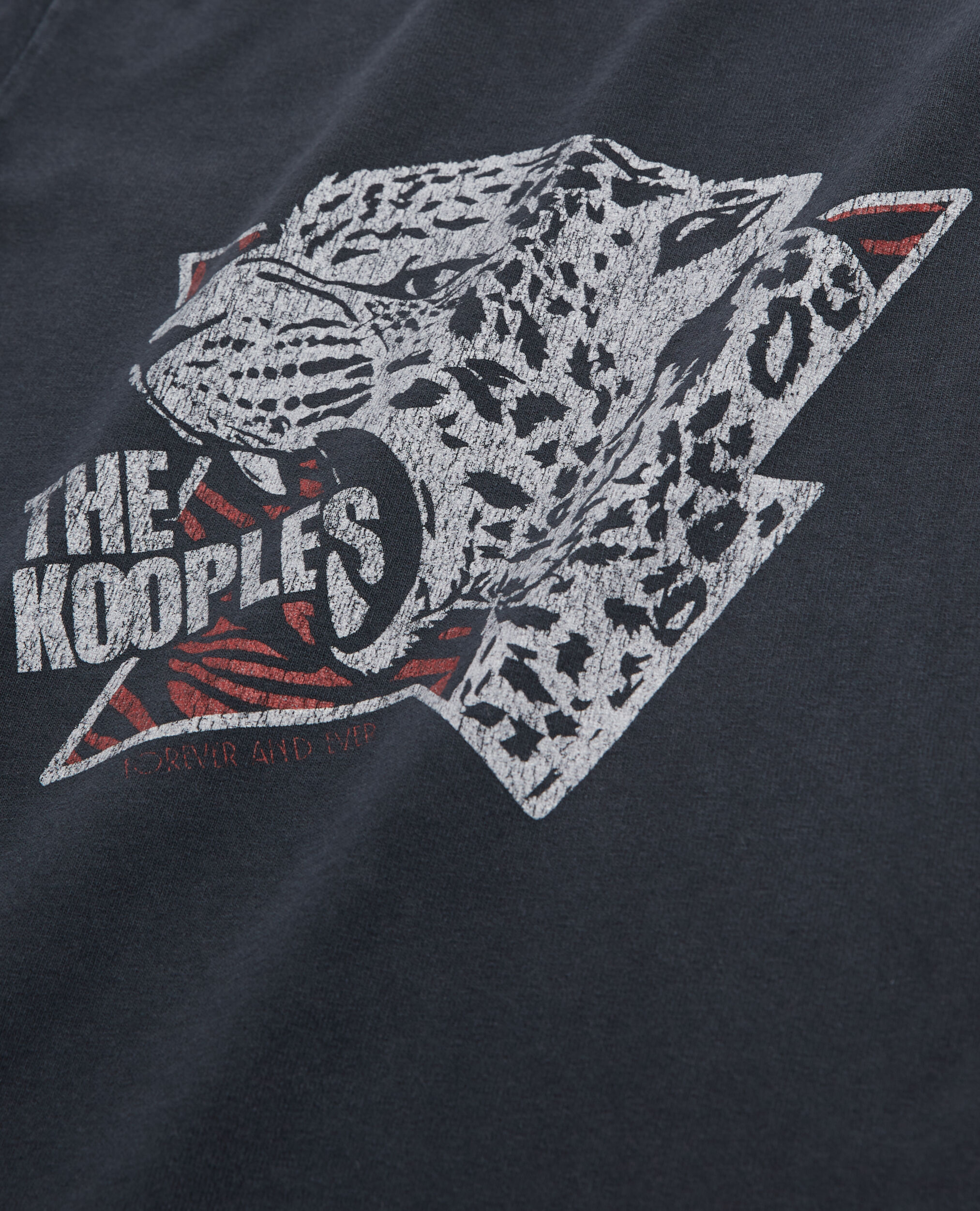 Leopard screen print T-shirt, BLACK WASHED, hi-res image number null