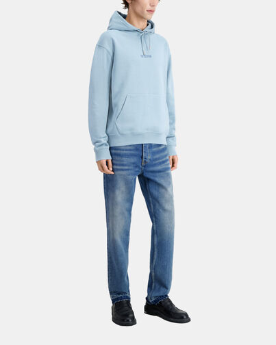 , BLUE GREY, hi-res image number null