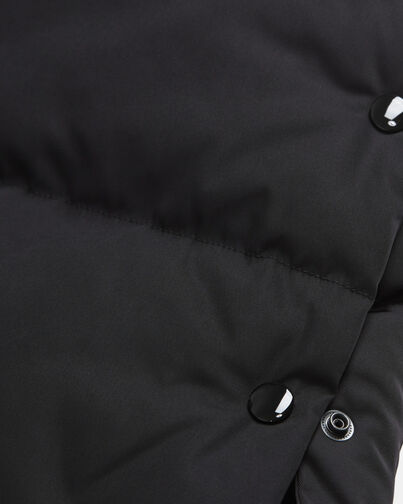 , BLACK, hi-res image number null