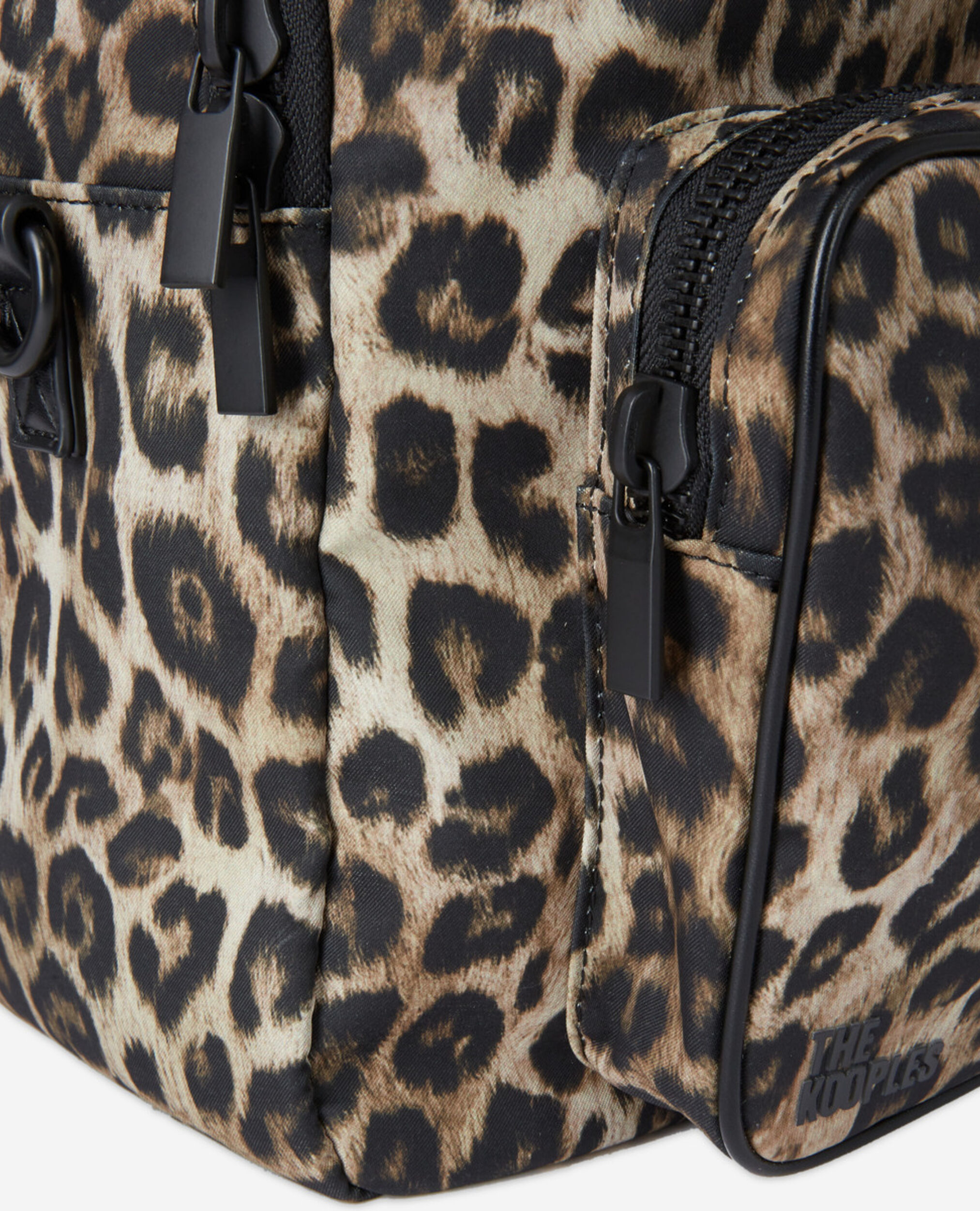 , LEOPARD, hi-res image number null