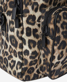 , LEOPARD, hi-res image number null