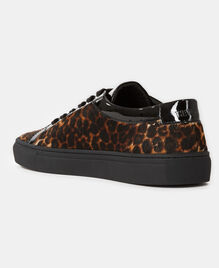 , LEOPARD, hi-res image number null