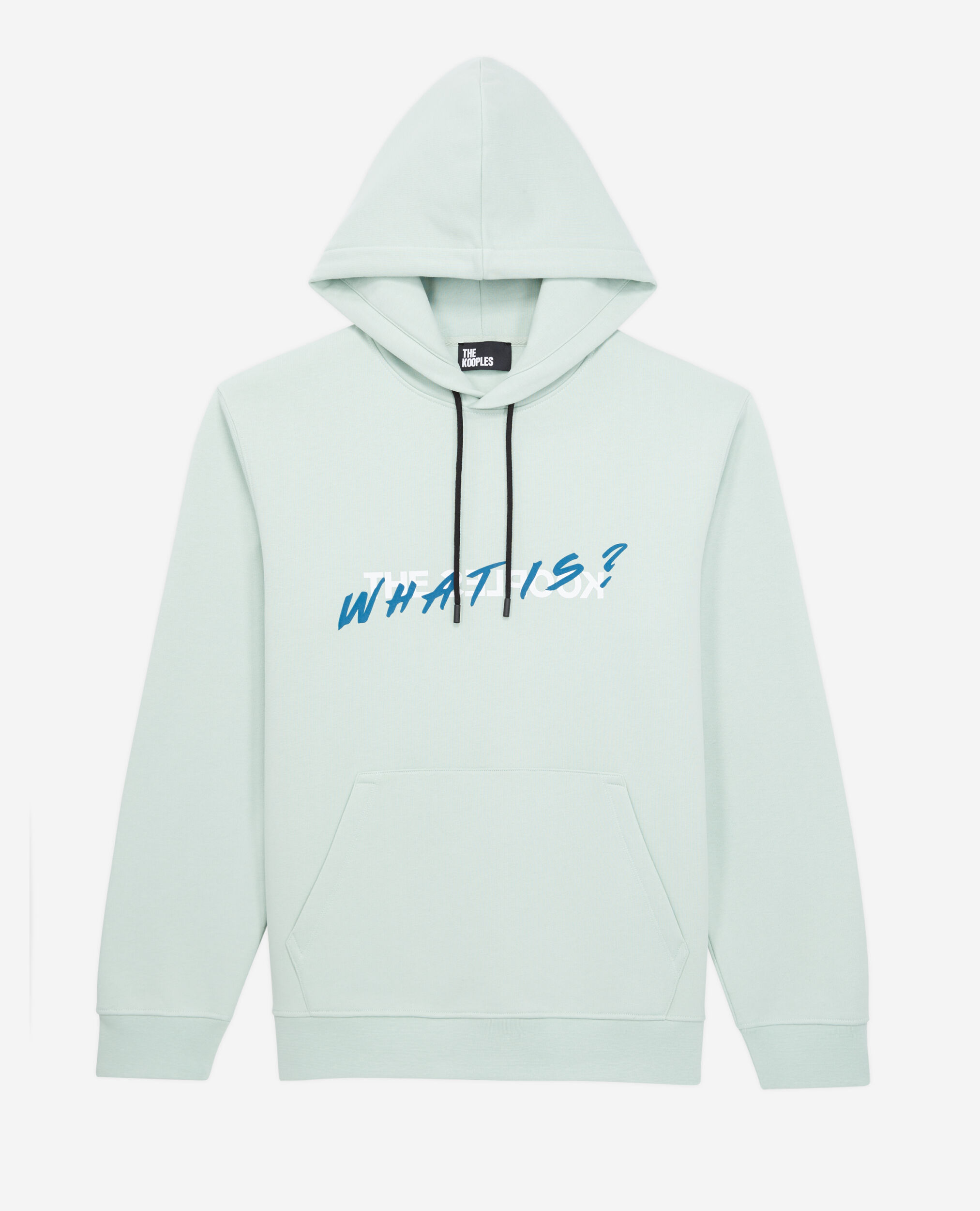 Sweatshirt à capuche What is vert, OCEAN, hi-res image number null