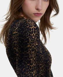 , LEOPARD, hi-res image number null