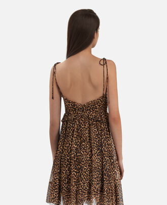 , LEOPARD, hi-res image number null