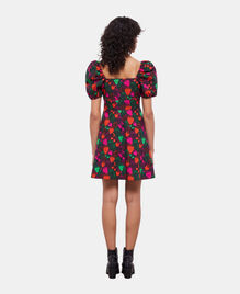 , MULTICOLOR, hi-res image number null