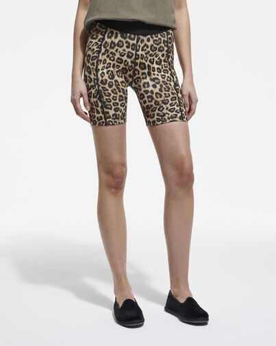 , LEOPARD, hi-res image number null
