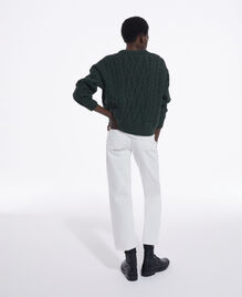 , KAKI, hi-res image number null
