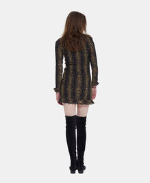 , LEOPARD, hi-res image number null