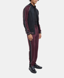, BURGUNDY, hi-res image number null