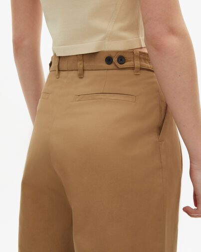 , BROWN, hi-res image number null