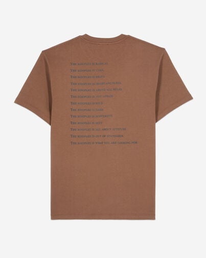 , BROWN, hi-res image number null