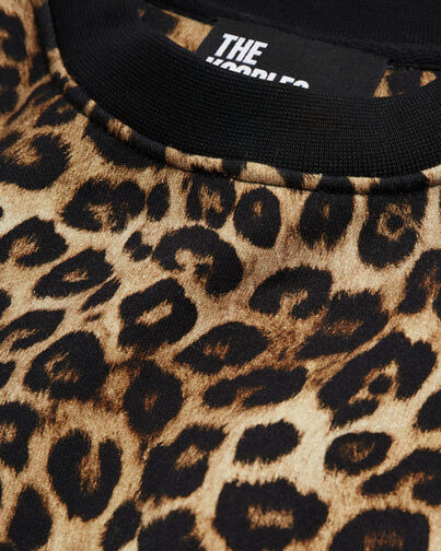 , LEOPARD, hi-res image number null