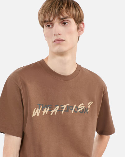 , BROWN, hi-res image number null