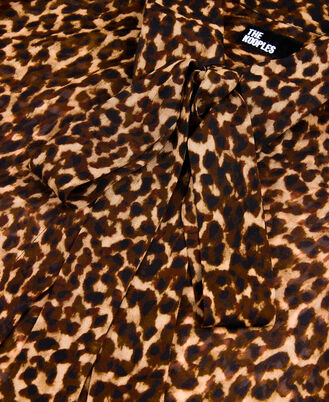 , LEOPARD, hi-res image number null