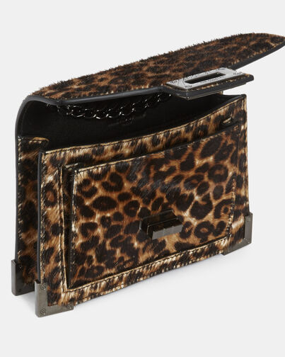 , LEOPARD, hi-res image number null