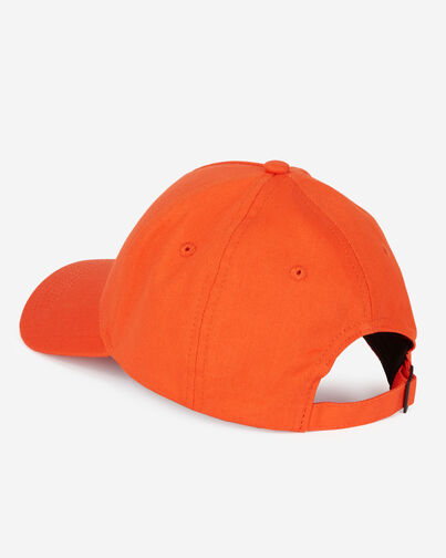 , PUMPKIN, hi-res image number null