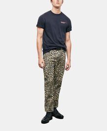 , LEOPARD, hi-res image number null