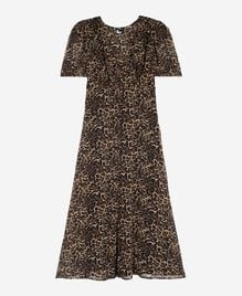 , LEOPARD, hi-res image number null