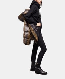 , LEOPARD, hi-res image number null