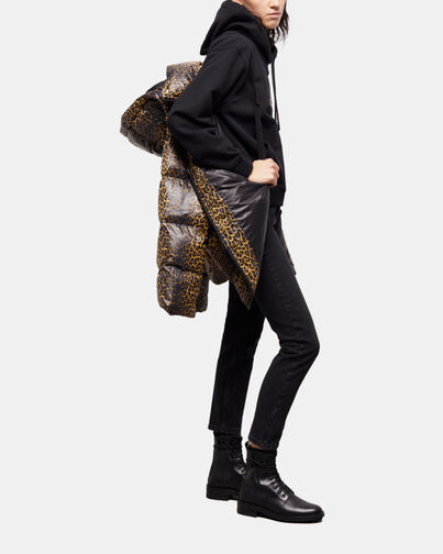 , LEOPARD, hi-res image number null