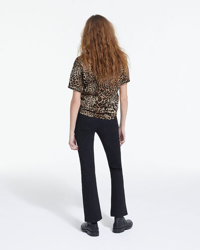 , LEOPARD, hi-res image number null